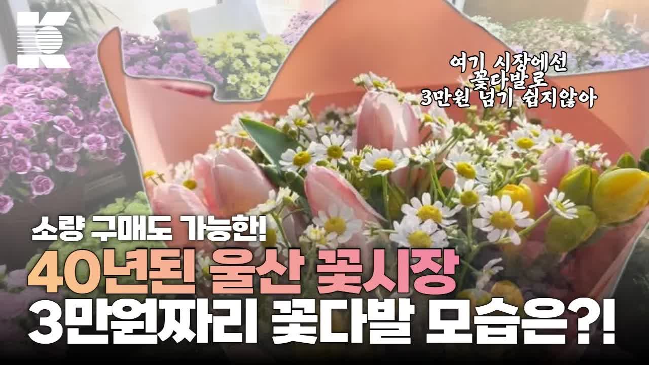 울산 꽃시장에서 봄 기분 전환하기