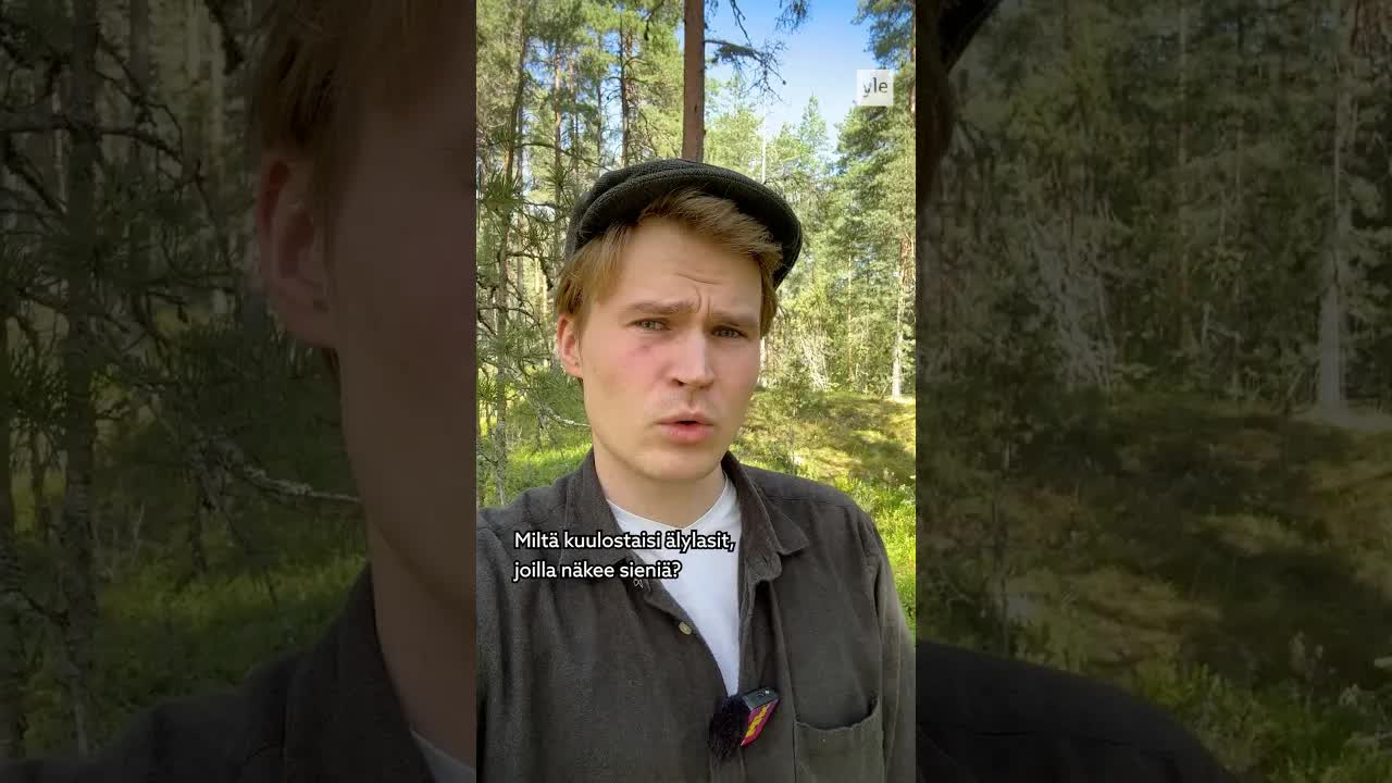 Älylasit sienien etsimiseen