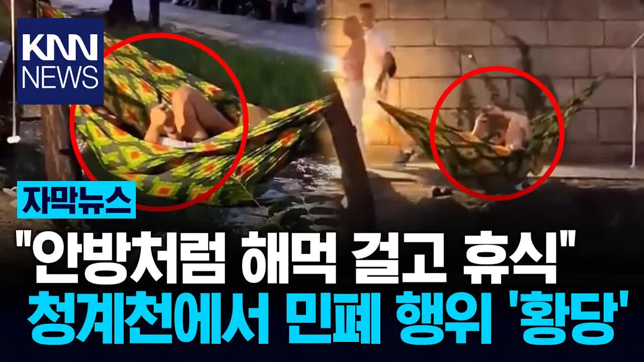 청계천 가로수 해매 걸린 남성 시민 반응