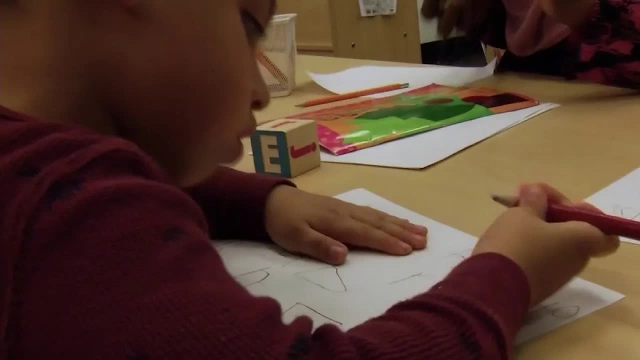 Early Math Skills Predict Academic Success
