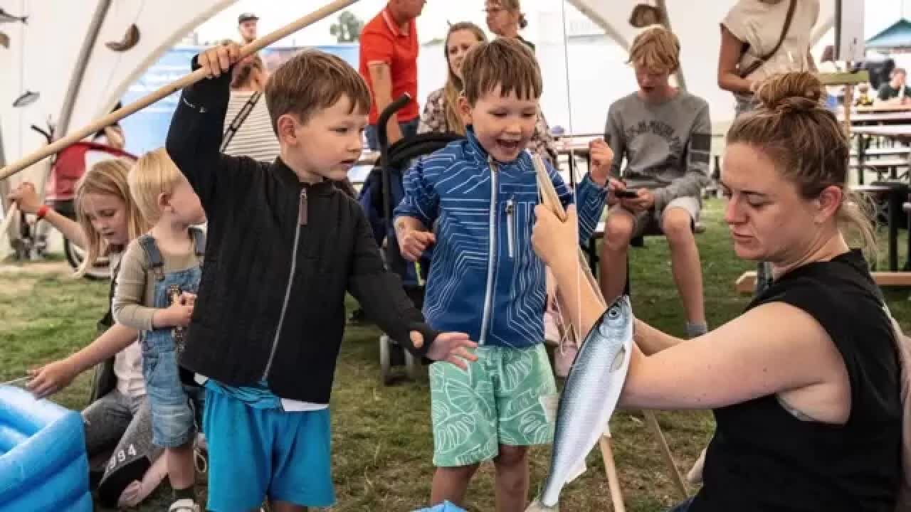 Food Festival i Aarhus: Mad og smagsoplevelser
