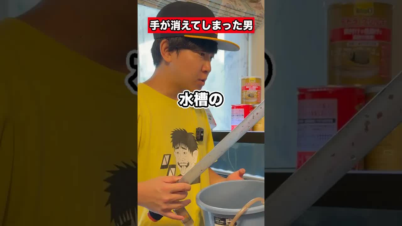 生き物を飼うと手がなくなります…