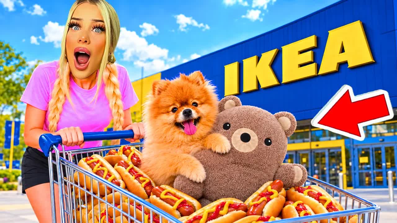 Mein Hund im IKEA: Das erste Mal in der Hundeabteilung