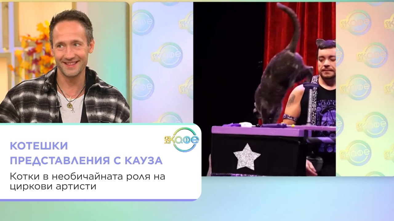 Как котките пеят и защо оперните певци приличат на лемури