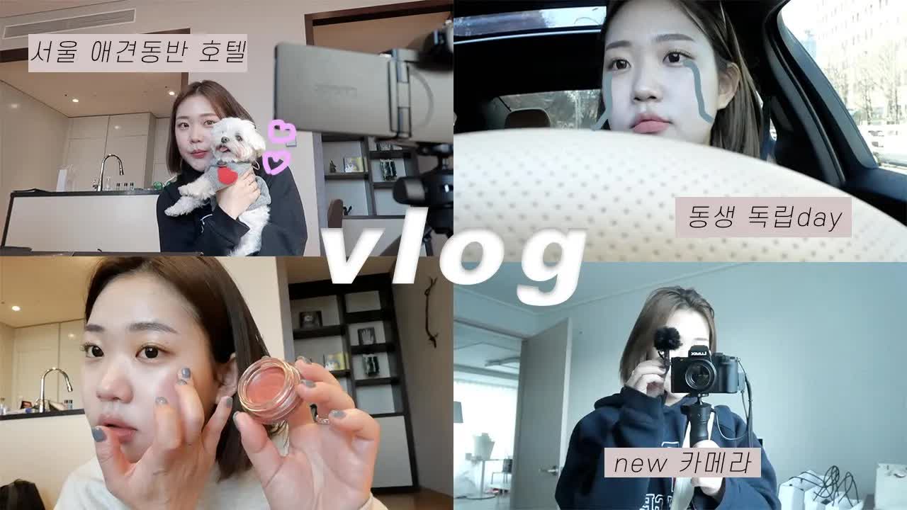 동생 독립 전 가족 호캉스 VLOG