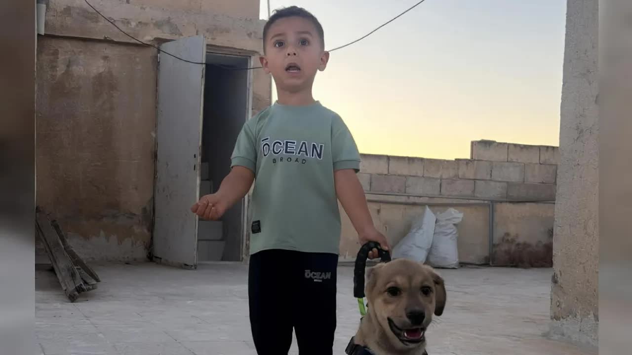 لعبتي مع الكلب وضحكت من تصرفاته