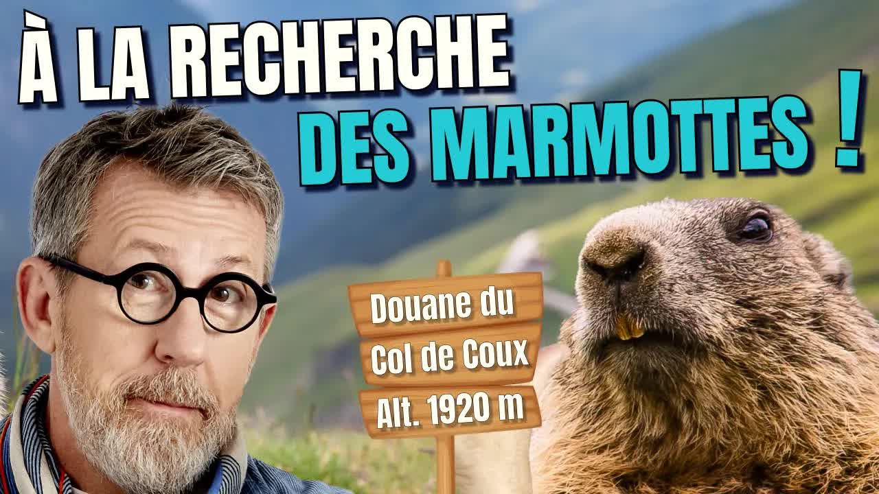 Randonnée en montagne : Flore et faune des Alpes