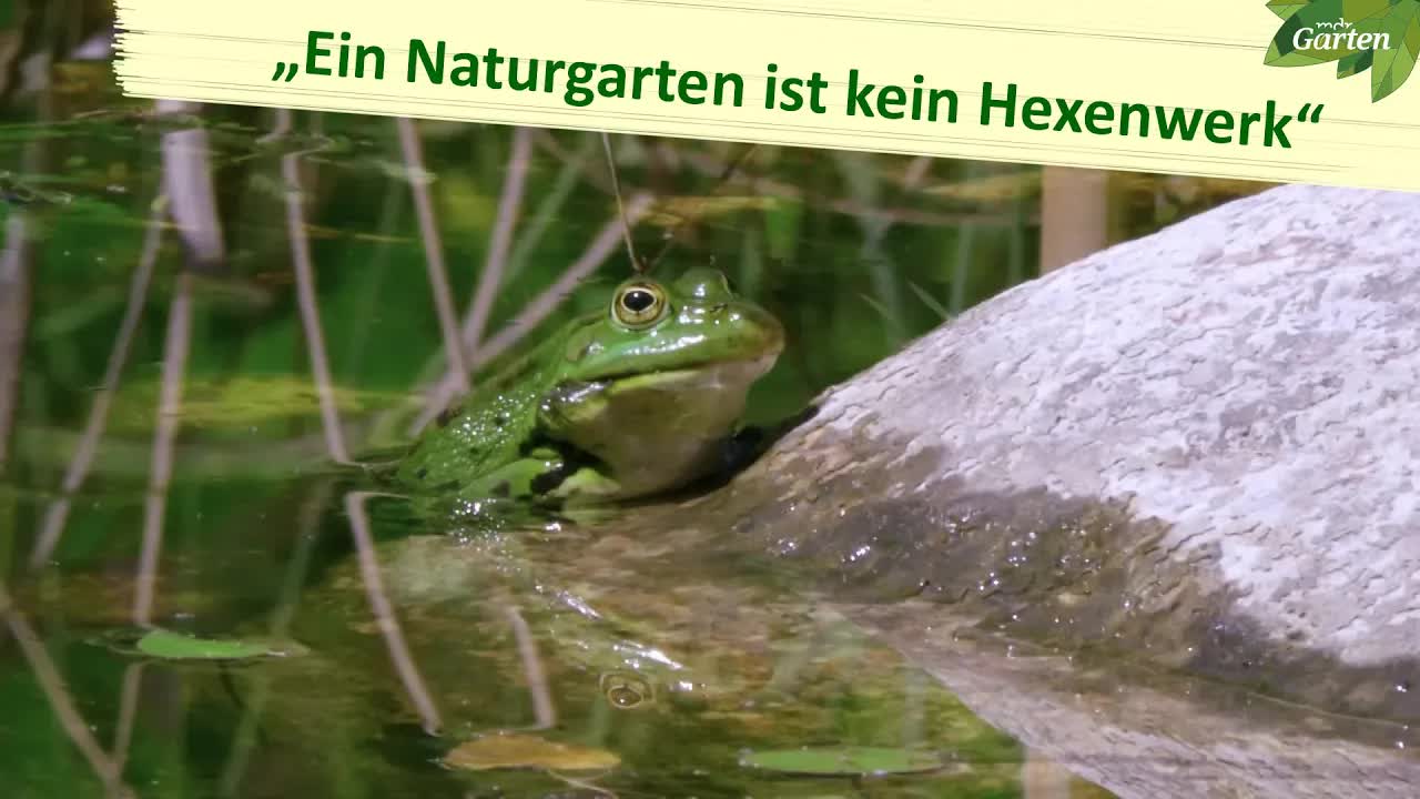 Ein tierfreundlicher Naturgarten im Detail