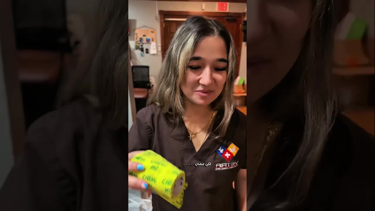 لماذا يكره الكلب طعم الضمادات بعد الجراحة؟