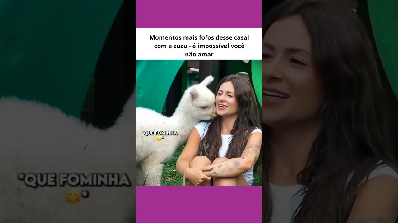 Momentos fofos com a gatinha Zuzu