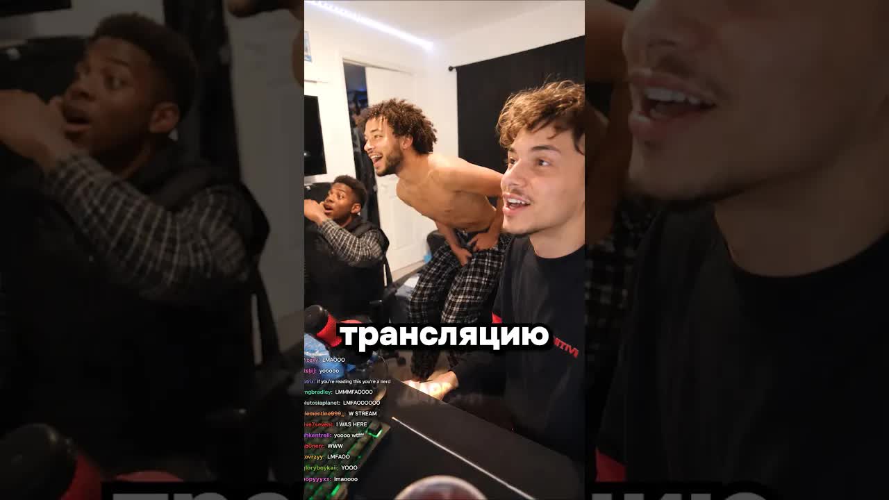 Кот напал на гостей во время стрима