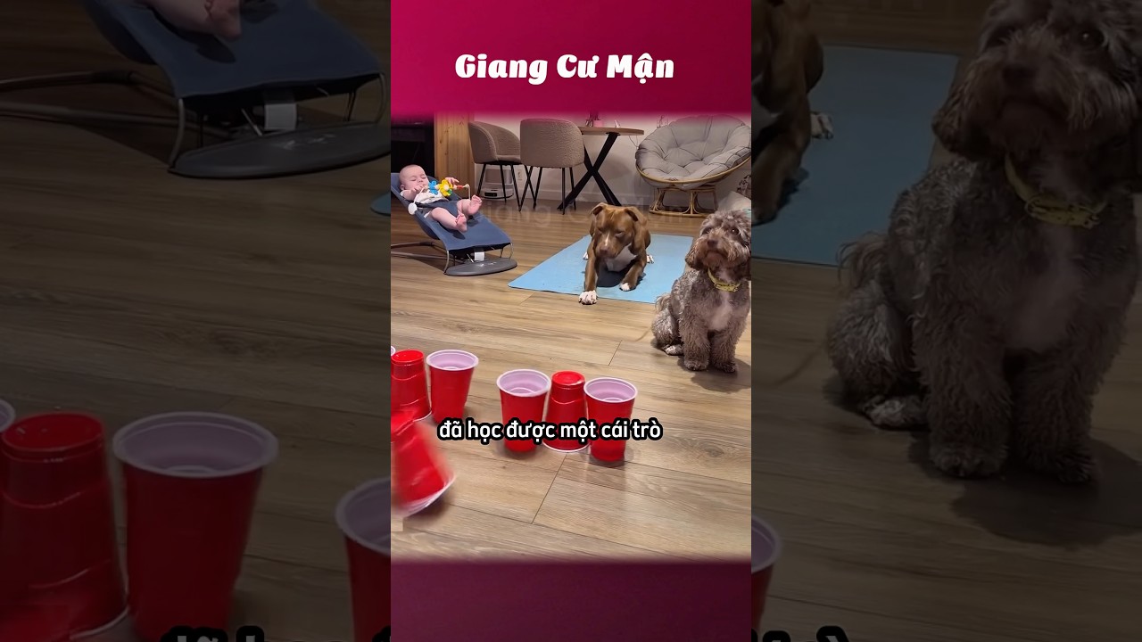 Con cháu bán cá ly bằng dây thun biểu diễn cho fan nhí