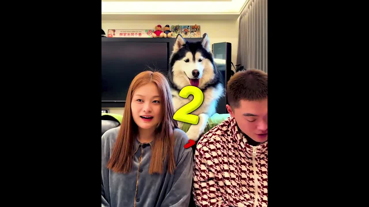Test, welchen Menschen der Hund mehr liebt