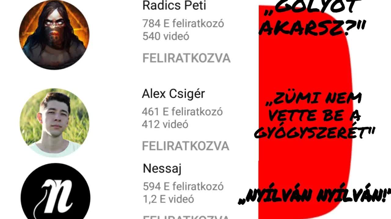 Véleményem a magyar videósokról