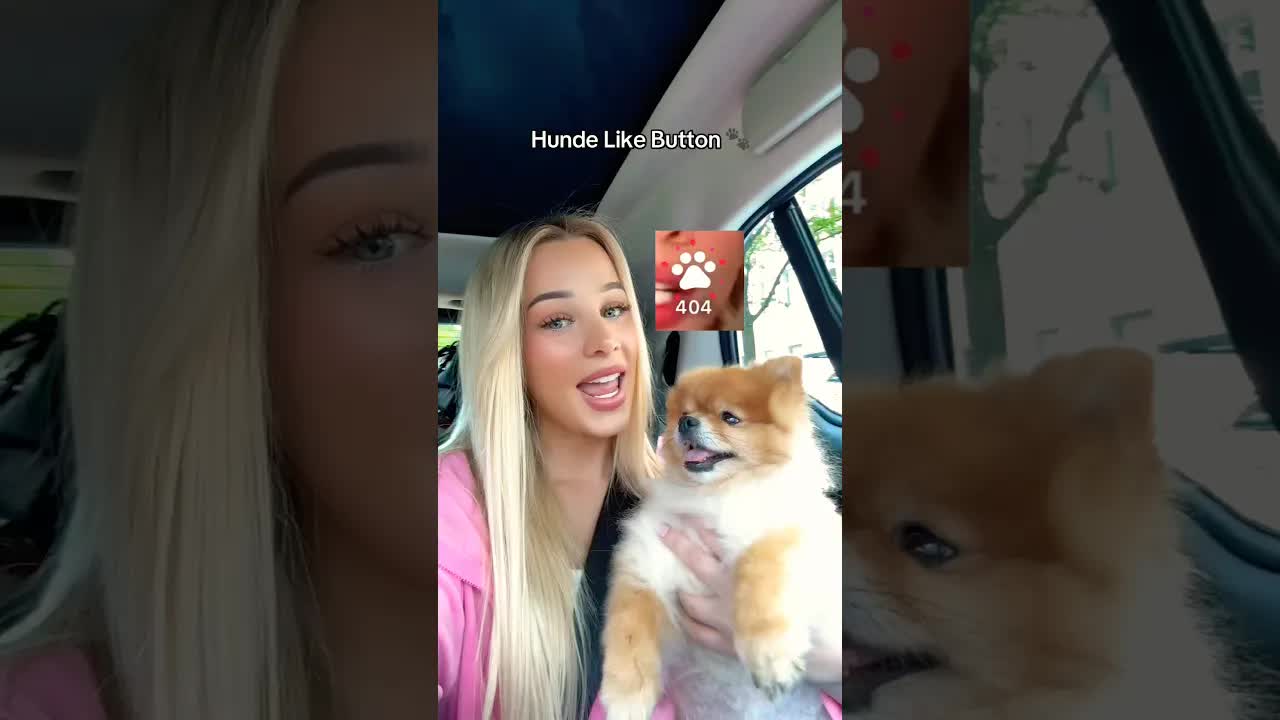 Der süße Hunde Like Button