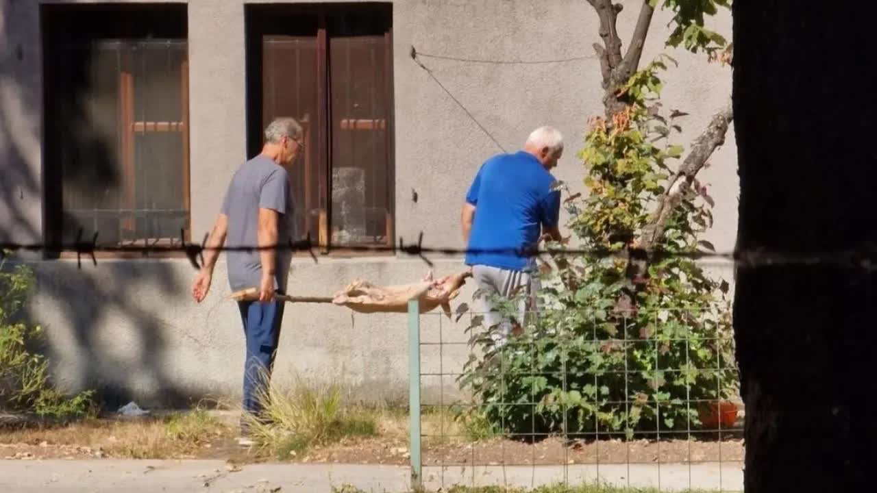 Kazna zbog pečenja praseta u bašti Zemaljskog muzeja