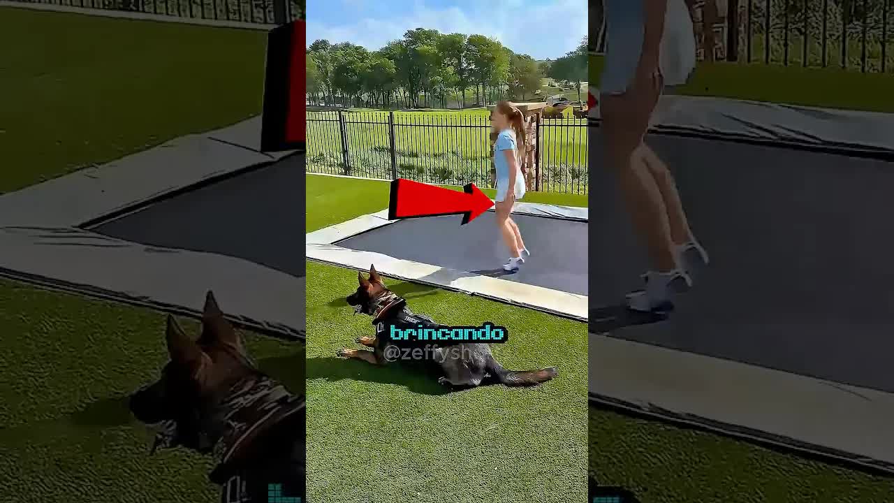 Cachorro protege menina de homem desconhecido