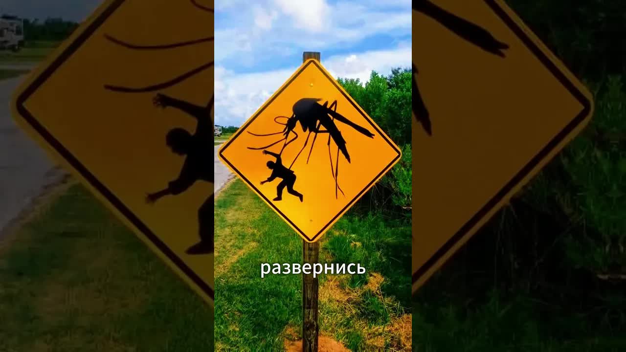 Шуточный знак от гиганских комаров в лесу