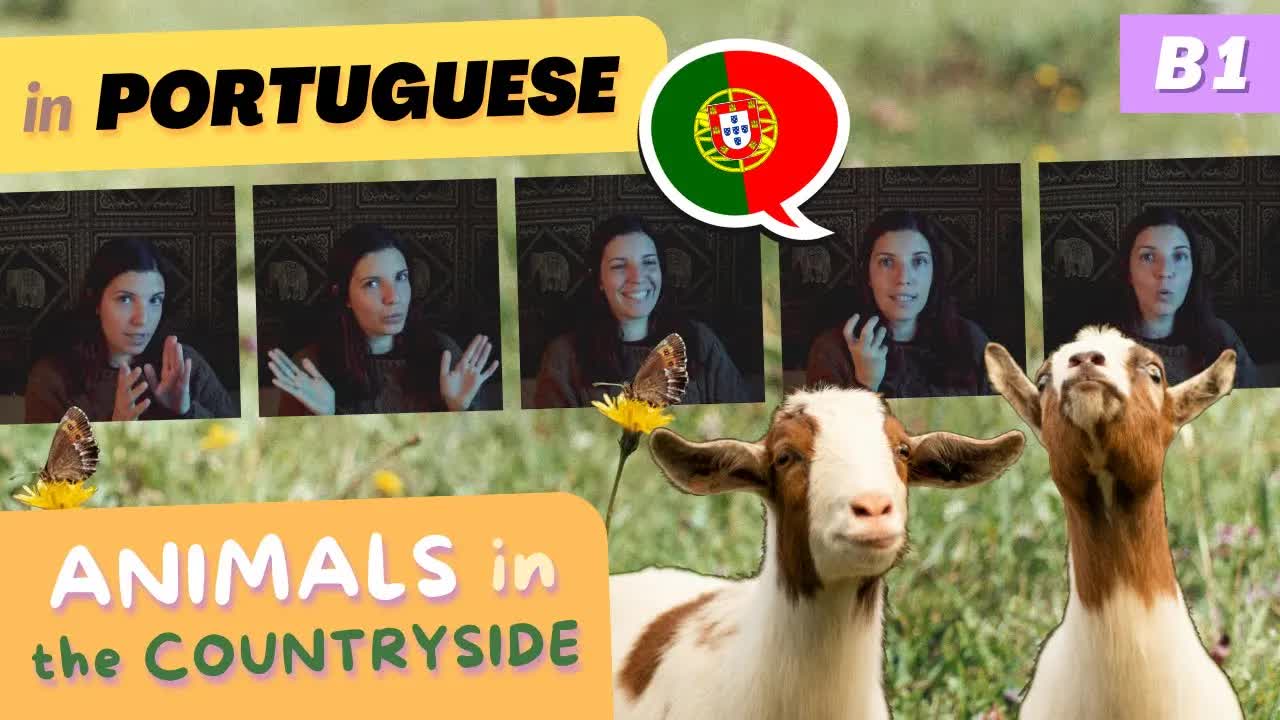 Animais do campo em português europeu