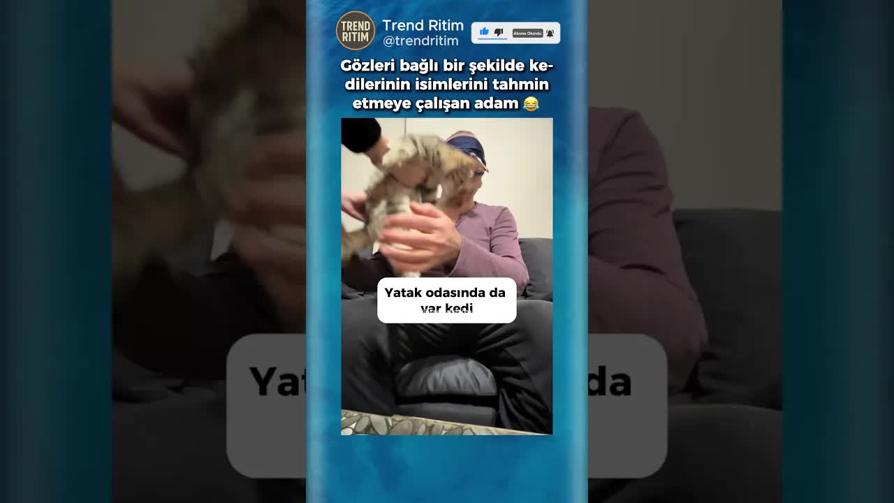 Kedilerini Gözleri Kapalı Tanıma Oyunu