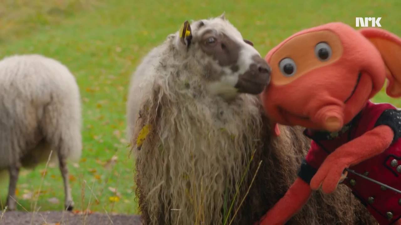 Bæ bæ lille lam - Barnesang fra Fantorangen