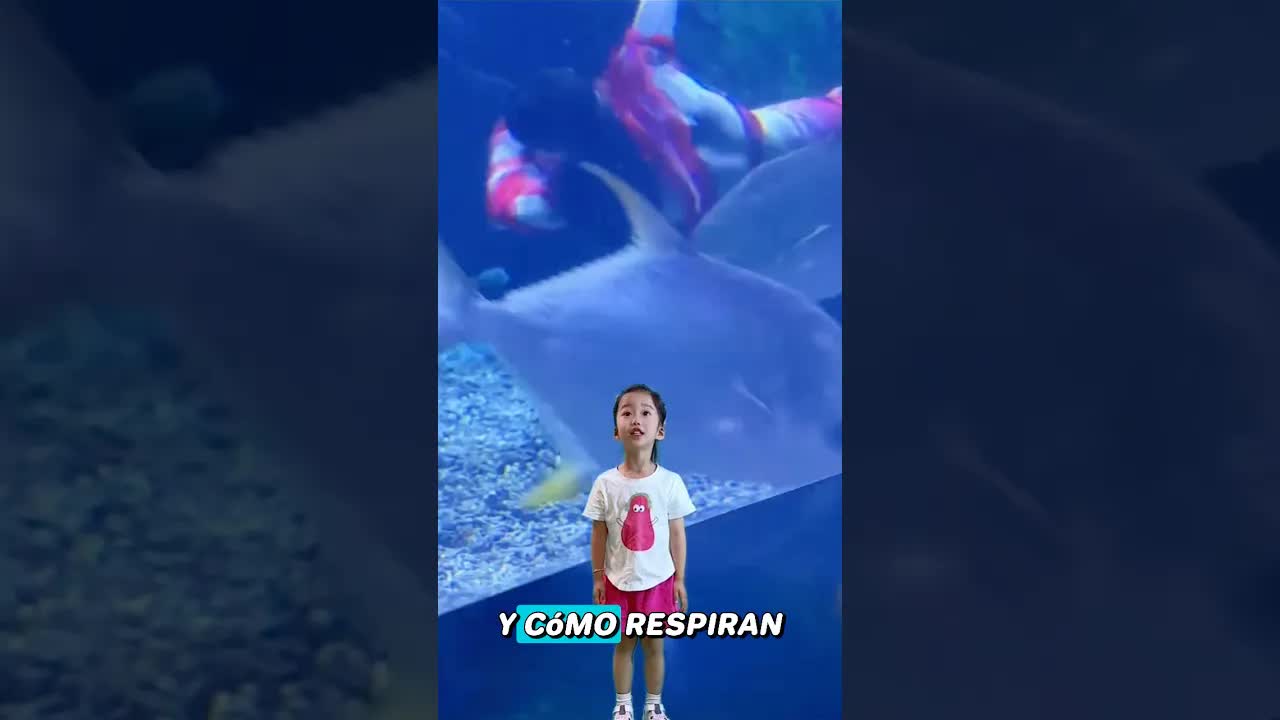 ¿Existen de verdad las sirenas?