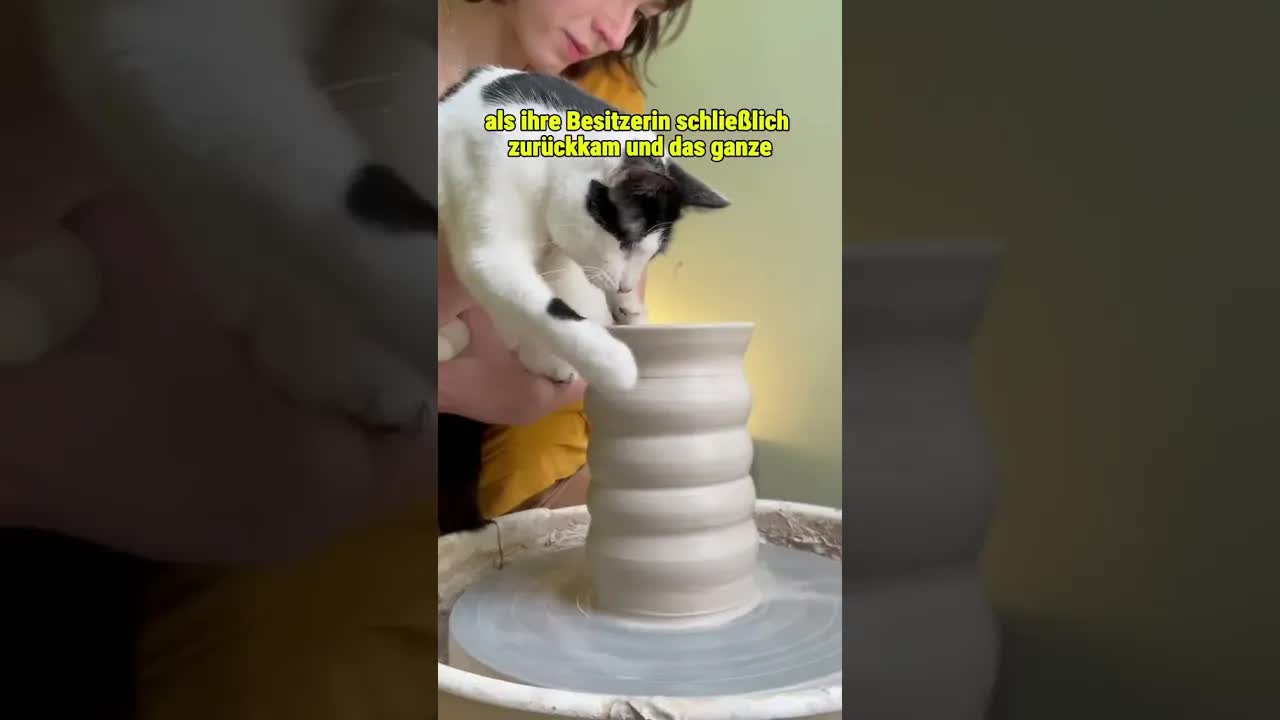 Die Katze der Töpferin und ihr großer Geldglück
