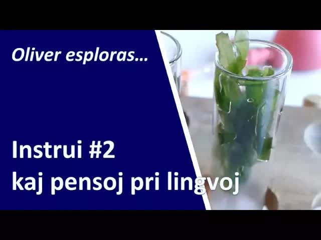 Mia laboro kaj la lingva situacio en Aŭstrio