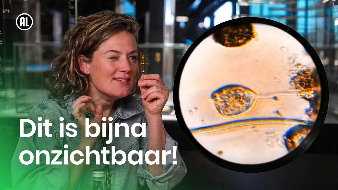 Hoe een microscoop werkt