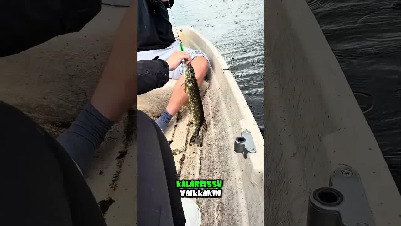 Järjetön kalareissu Suomen kesäsateessa