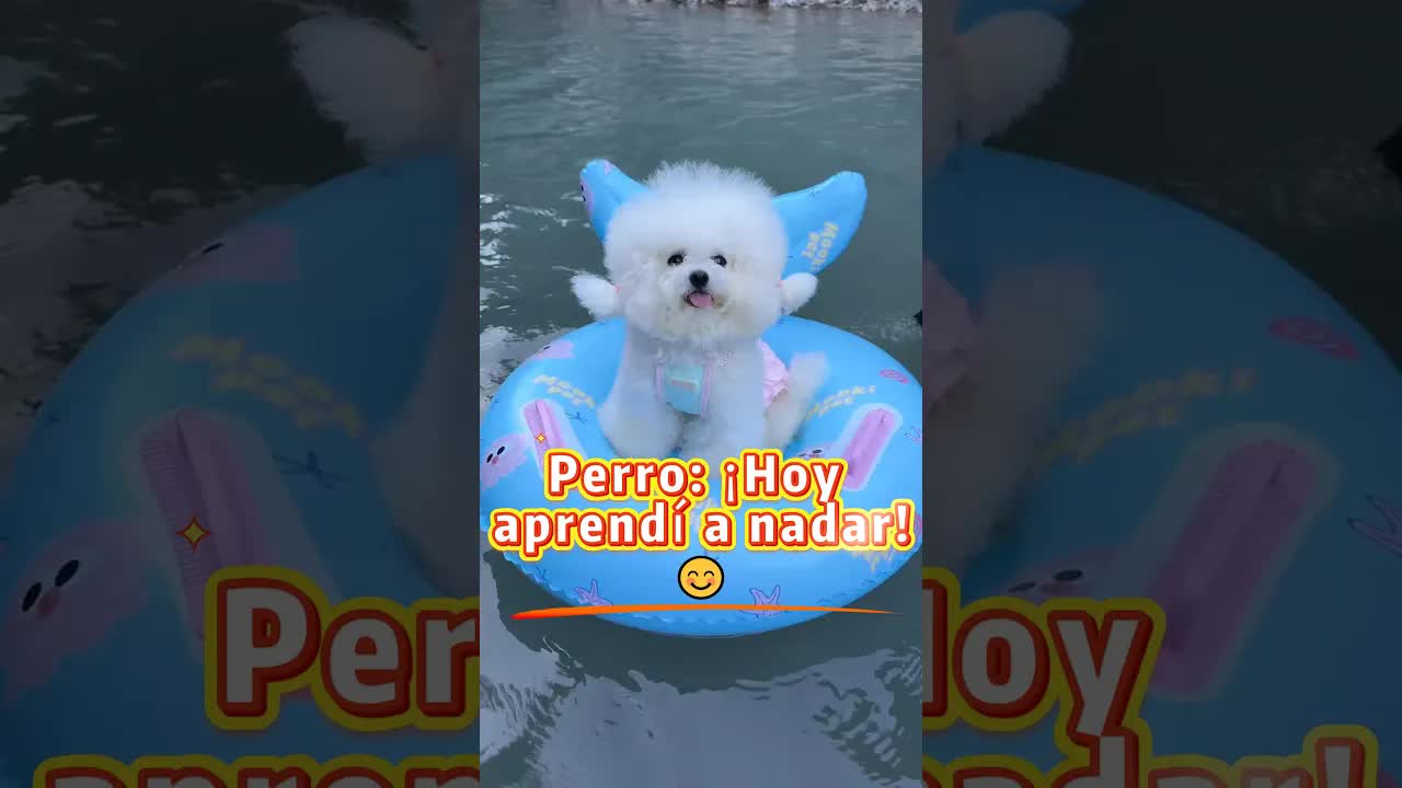Un cachorro aprende a nadar con su papá