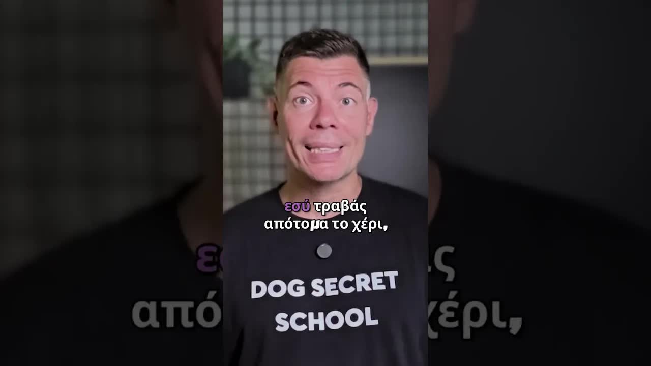 Σταμάτα να ενθαρρύνεις τα δαγκώματα του κουταβιού