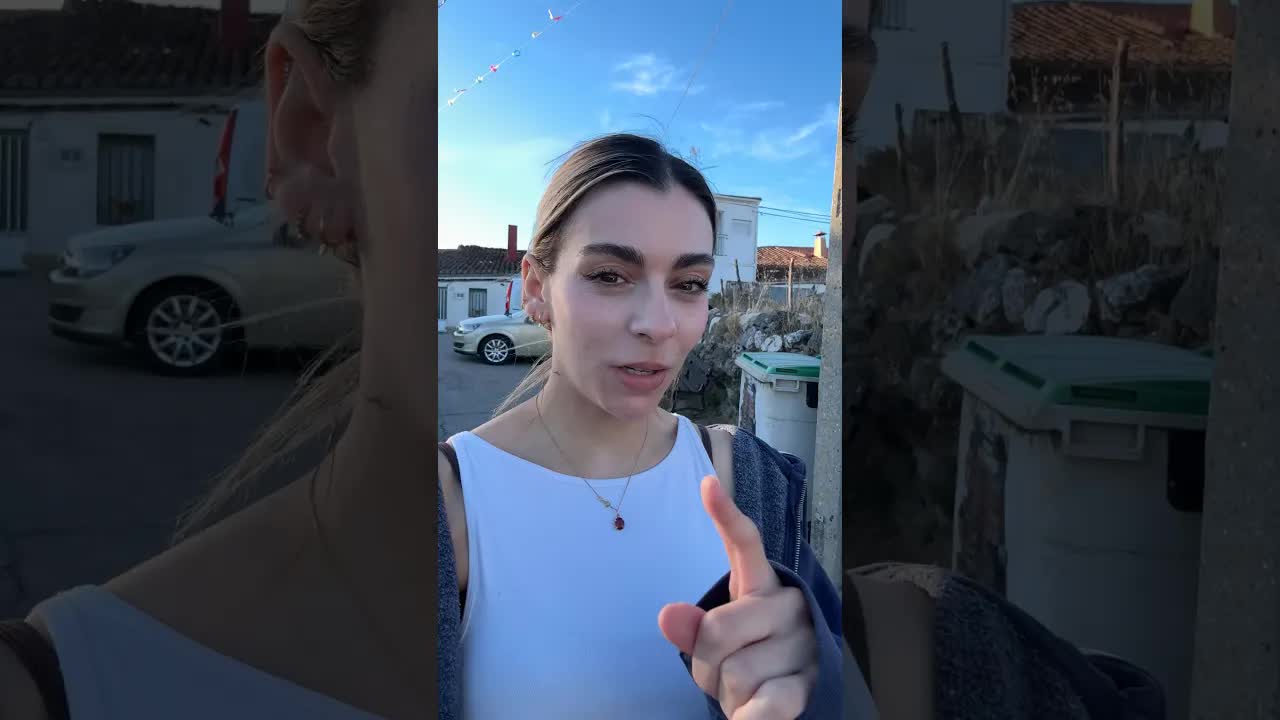 Probando el idioma de los gatos callejeros
