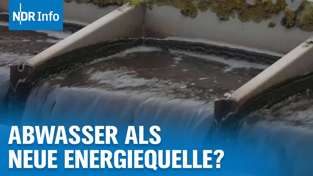 Energie aus Abwasser: Bakterien als Stromquelle?