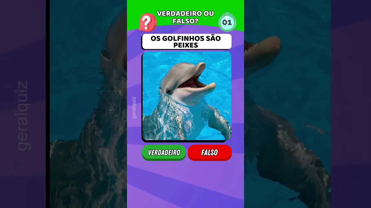 Verdadeiro ou Falso? Perguntas Gerais