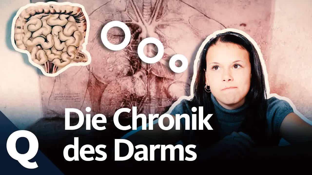 Die Geschichte der Verdauung im Wandel der Zeit