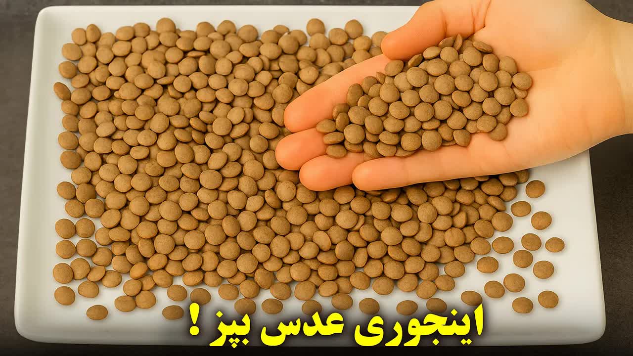 طرز تهیه کتلت عدس و مرغ خوشمزه