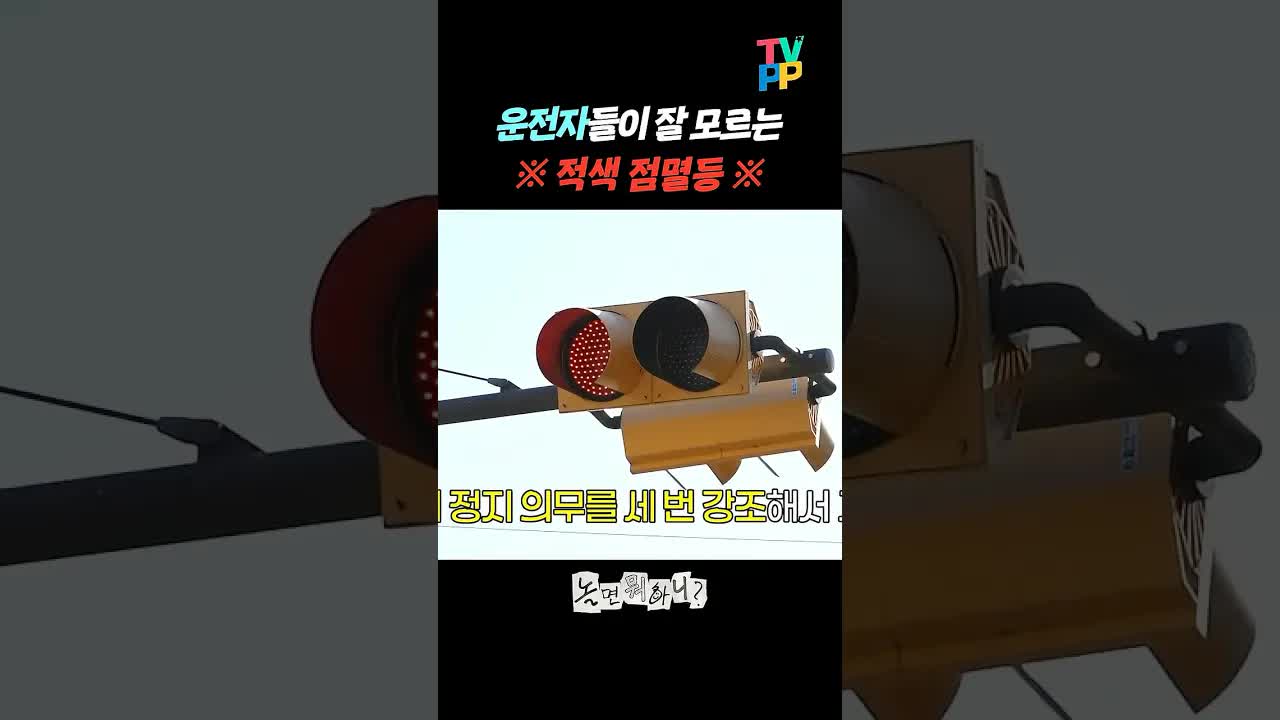 어린이 보호 구역 일시정지 의무 알아보기