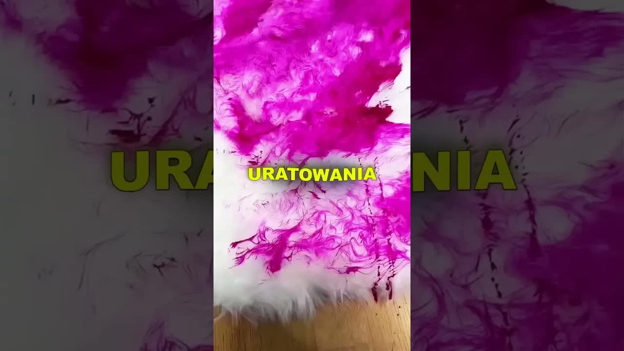 Przetestował dywan odporny na plamy