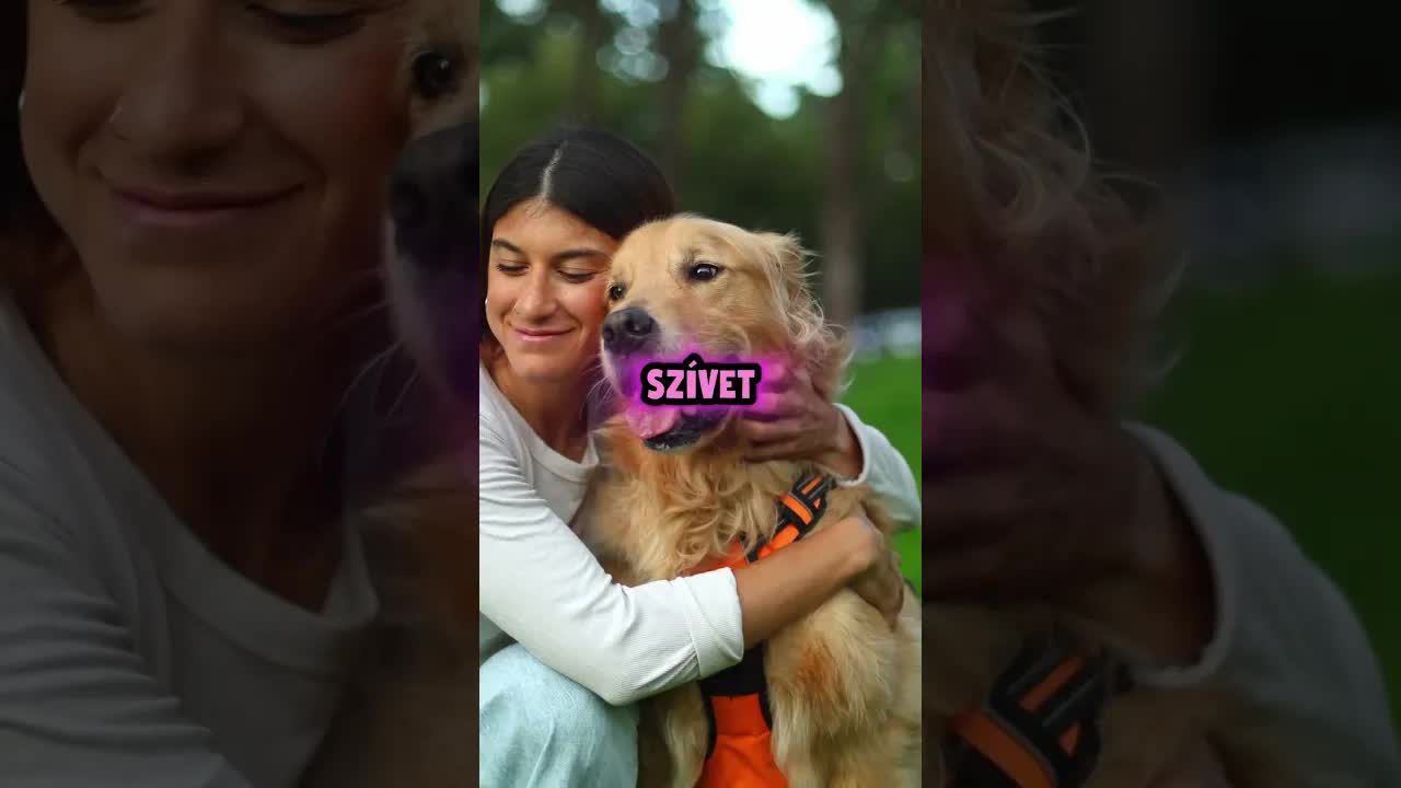 Menyasszony búcsúzik kutyájától esküvő előtt
