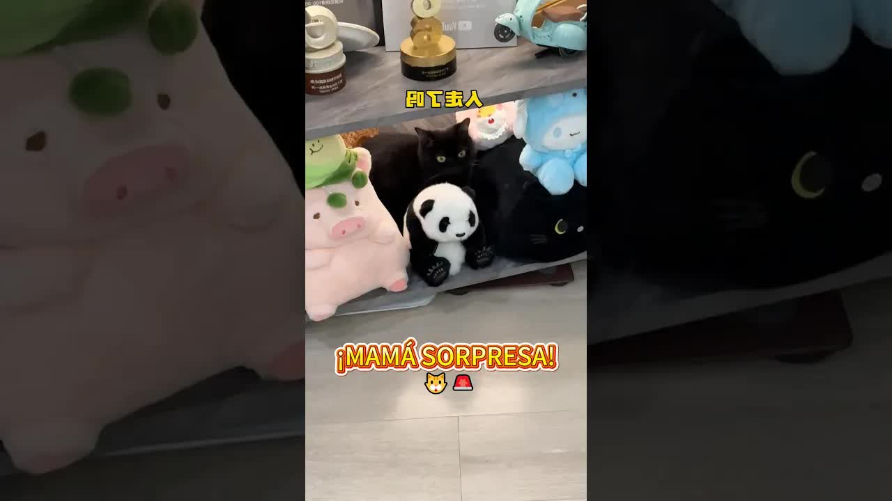 Mi mamá me visitó y casi me descubre