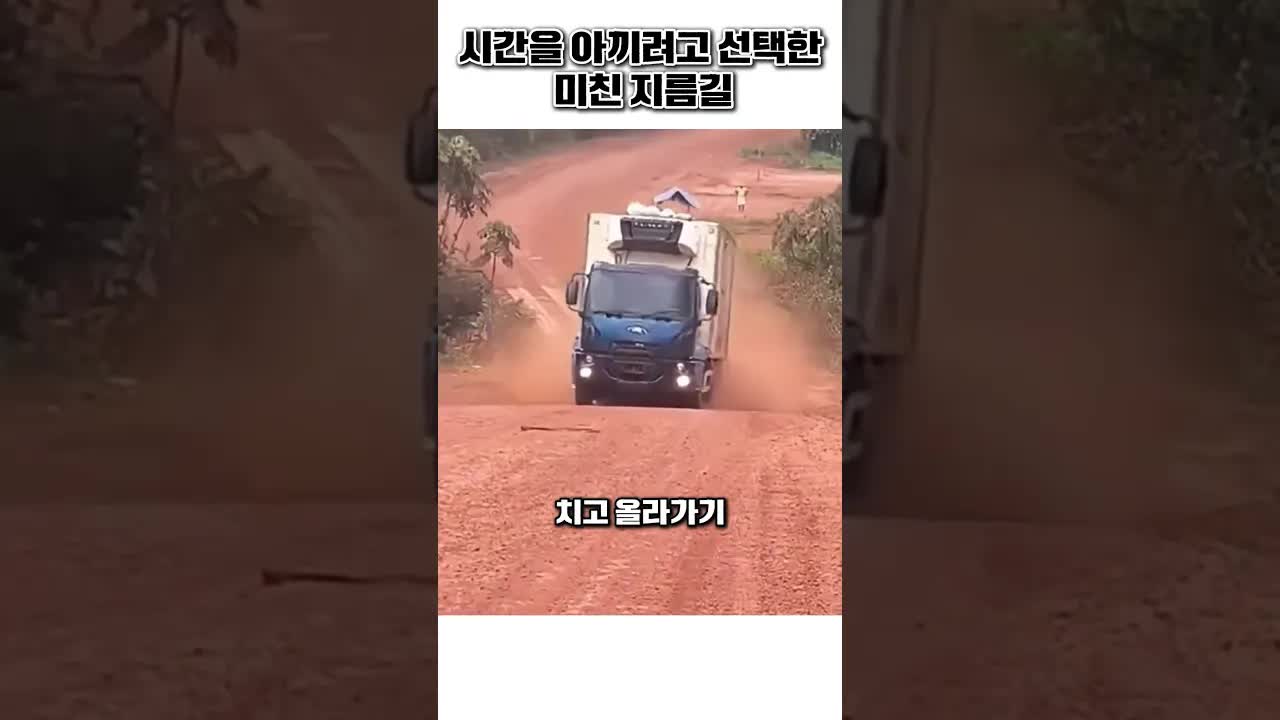 위험한 목재 운반 지름길 트러커들의 극한 주행