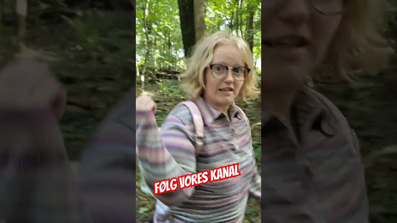 Vi leder efter trolde i skoven