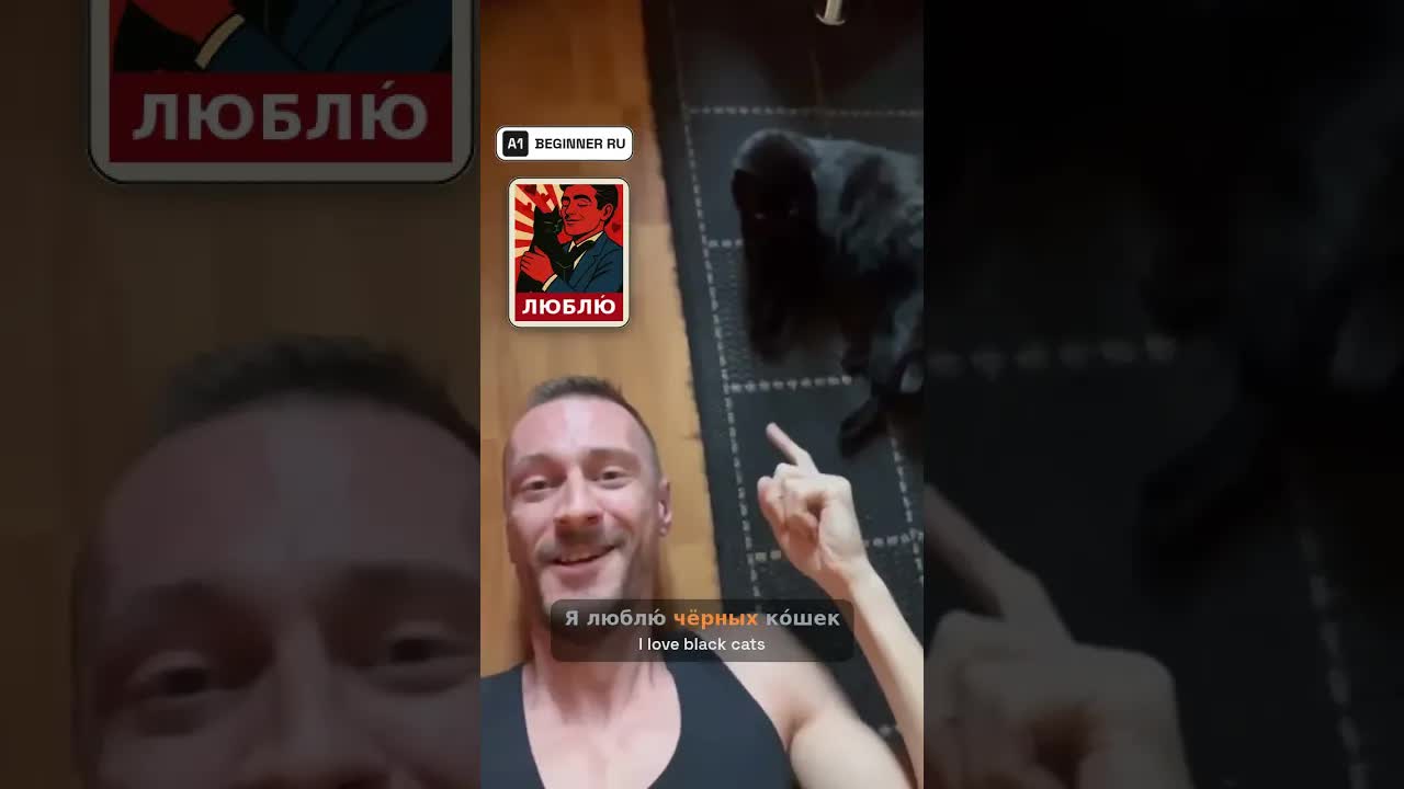 Почему чёрные кошки приносят удачу или неудачу?