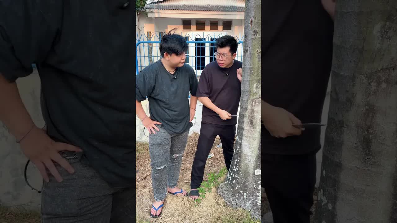 Ayah Memotong Pohon dan Abang Mengganggu