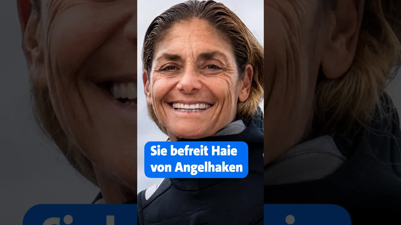 Taucherin rettet Haie vor Angelhaken