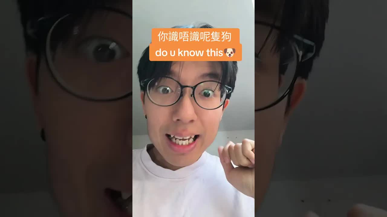 加菲貓變成狗嘅搞笑故事