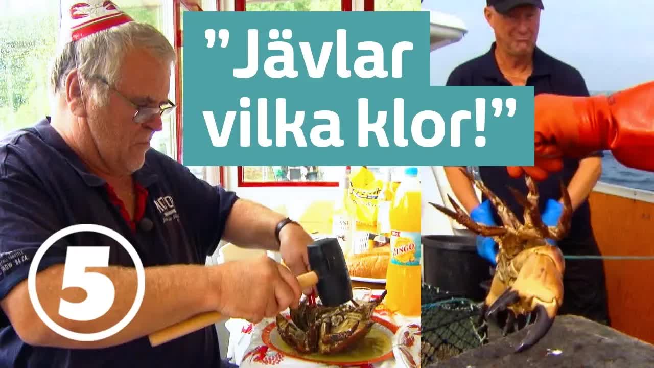 Åke fiskar krabbor och lagar festmat