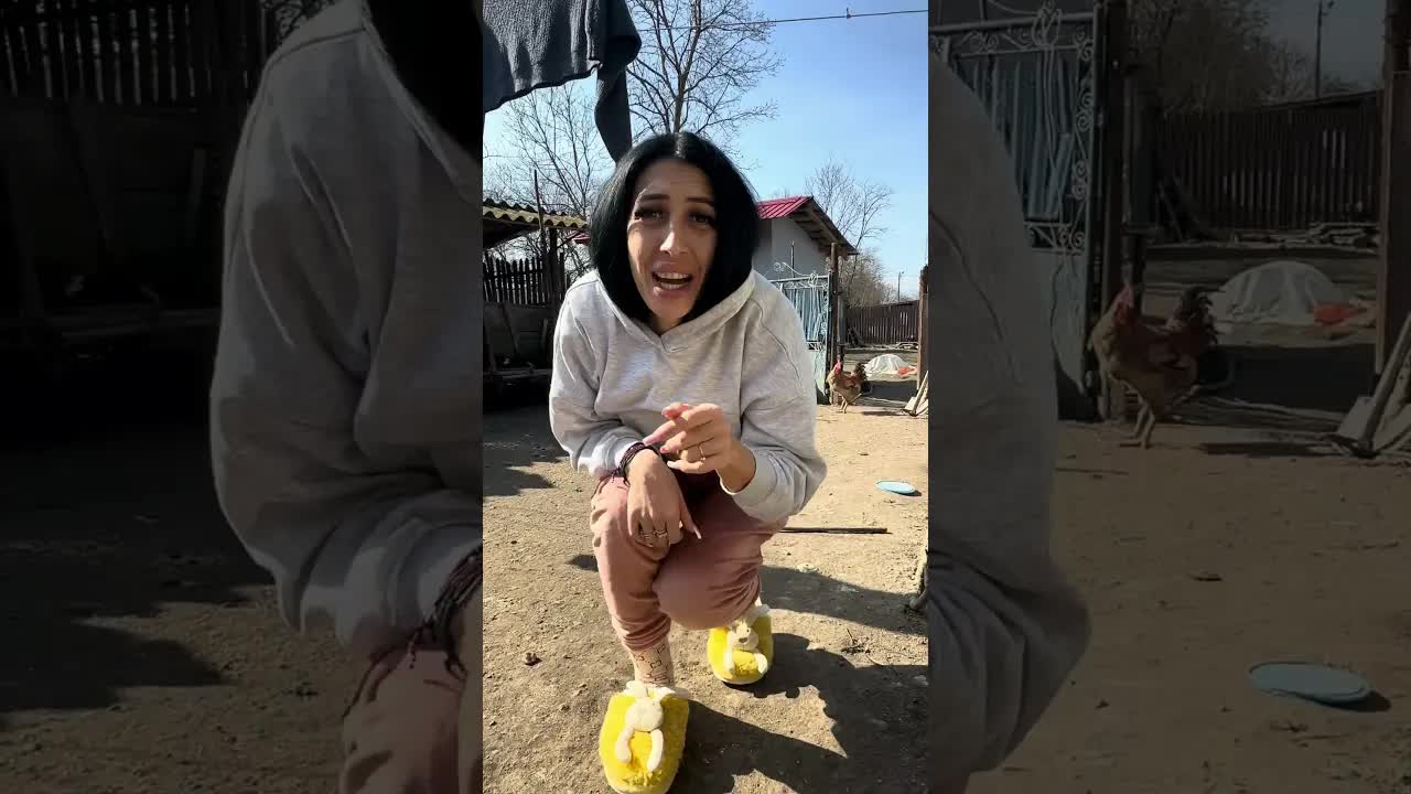 Viața la țară cu pisica și puii ei