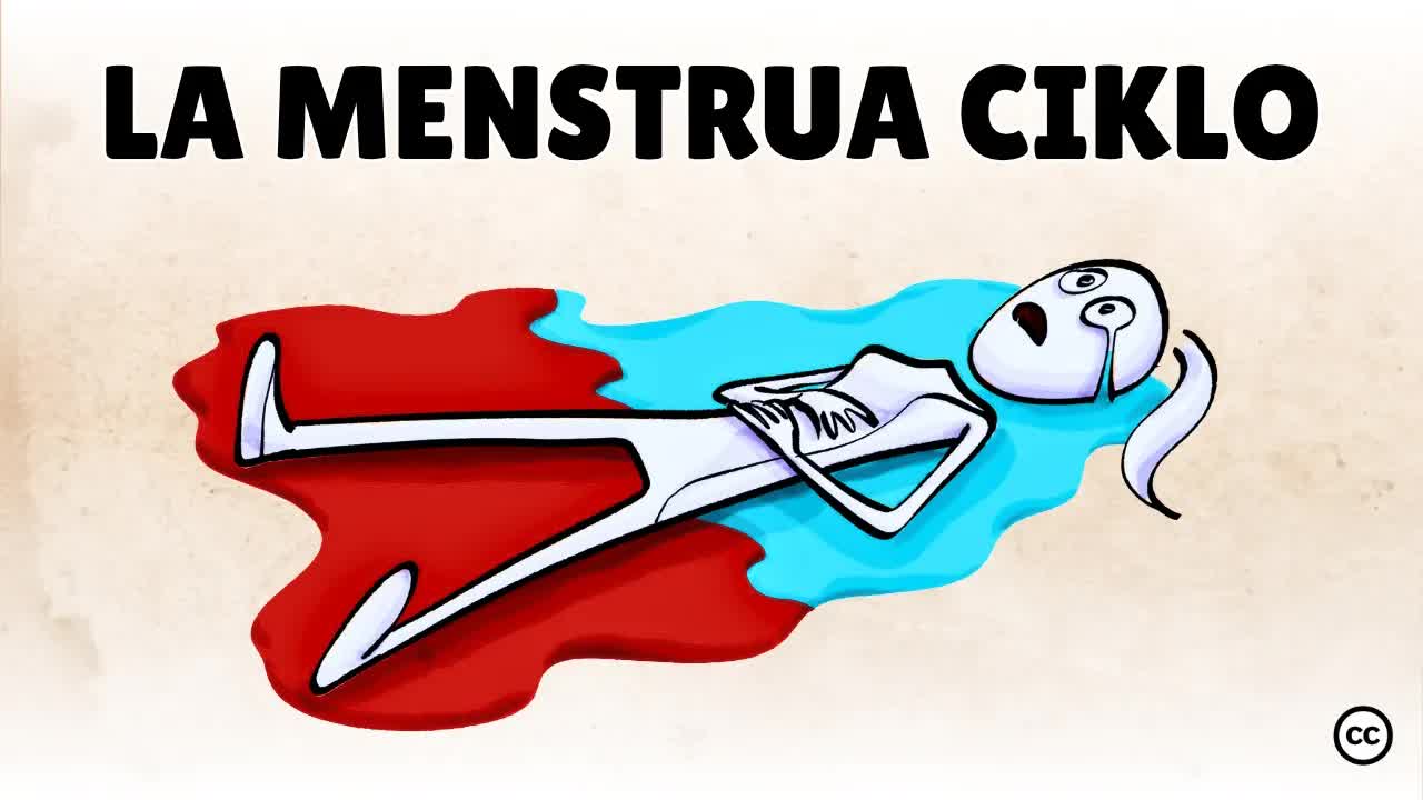 La Menstrua Ciklo: 4 Fazoj kaj Hormonoj